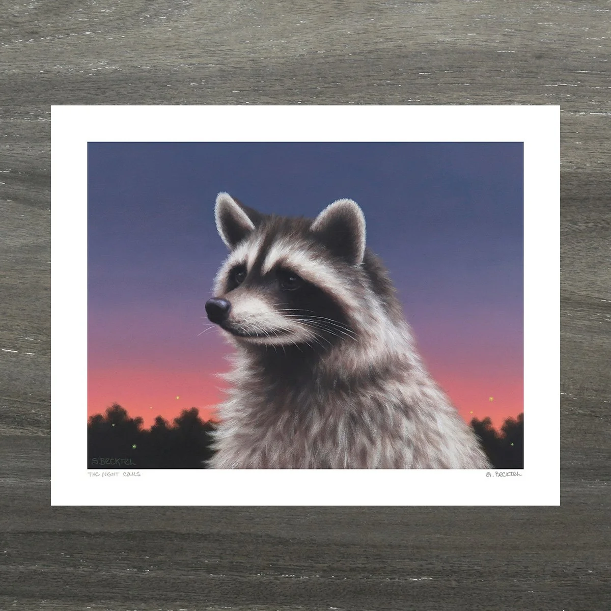 Raccoon eating cheetos art print — Sarah Becktel